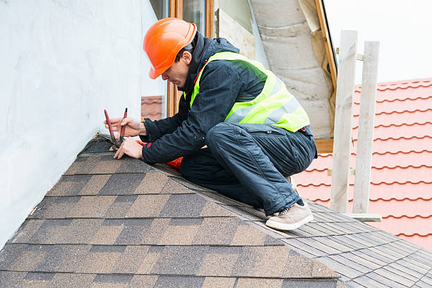 Best Roof Gutter Cleaning  in Winters, CA